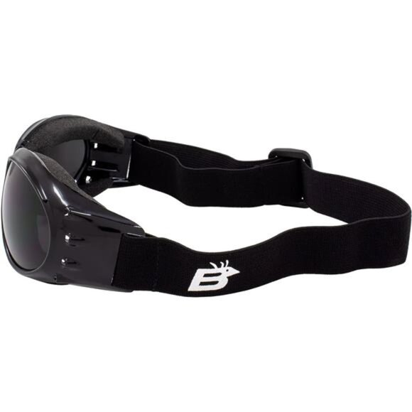 Birdz Eagle Red Baron Motorcycle Airsoft Goggles Clear & Super Dark Day Night main image 5